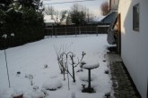 5PM back yard2.jpg
